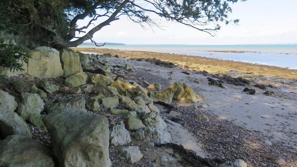 a stony beach at low tide near Ryde House