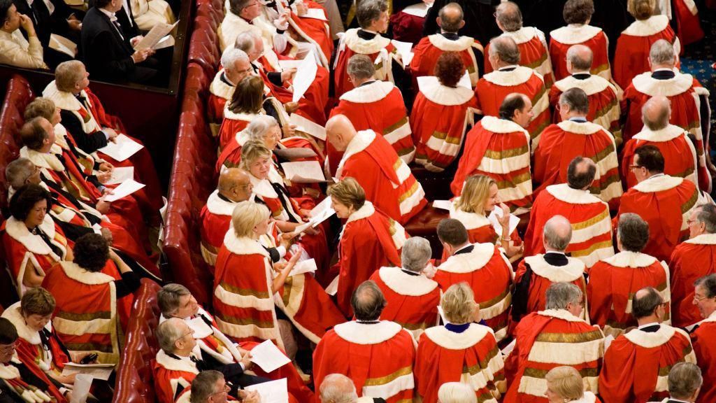Members of House of Lords seated at State Opening of Parliament, London, United Kingdom