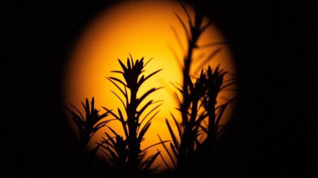 Night time Selsey shadows shot