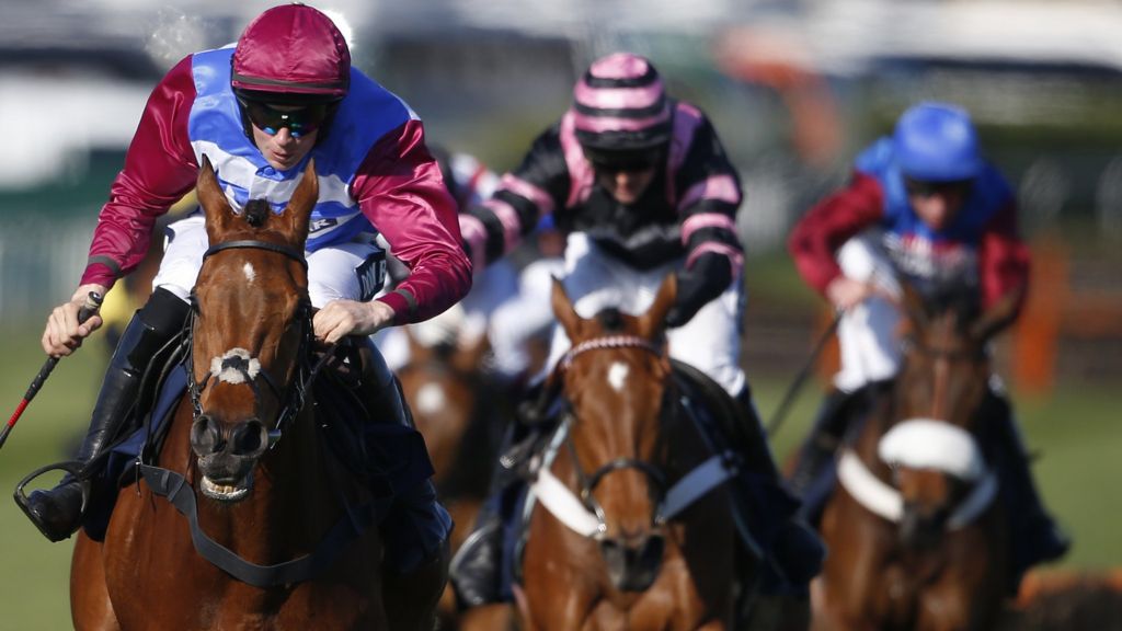 Bookies bet on record weekend of sport