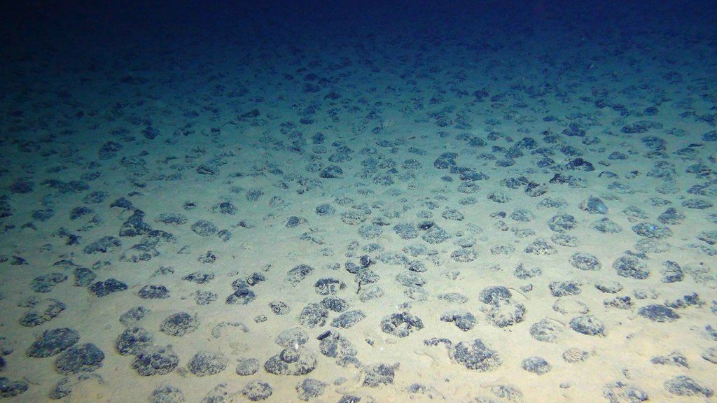 view of ocean floor and metal nodules