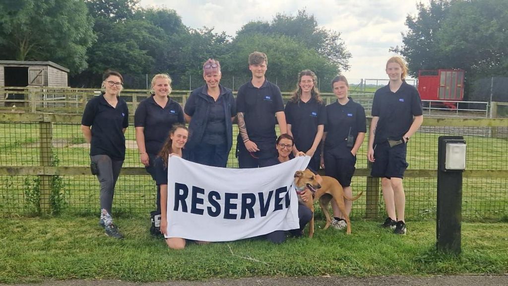 Staff holding a huge banner with the word “Reserved” when they thought Sarah had finally got her forever home