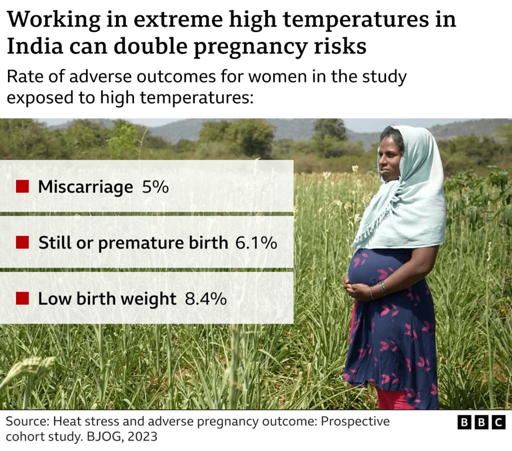Working in extreme high temperatures in India could double pregnancy risks