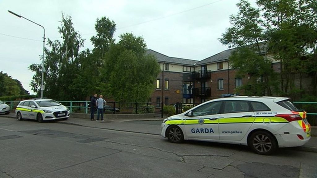 Mother arrested over south Dublin toddler stabbing death