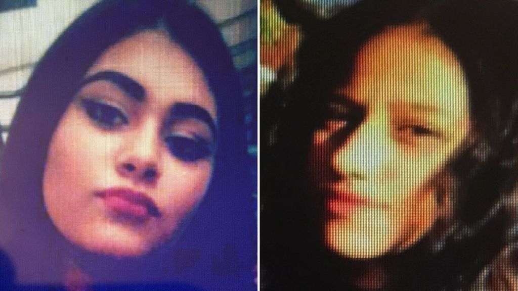 Oldham hit-and-run: Man admits causing girls' deaths