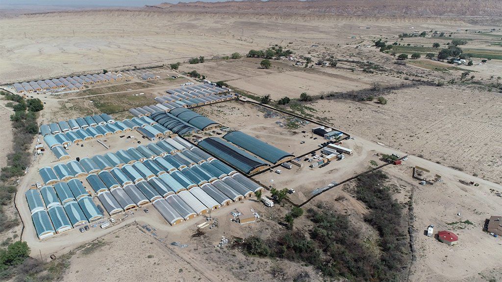 An aerial shot of the cannabis farms last summer in Shiprock, New Mexico