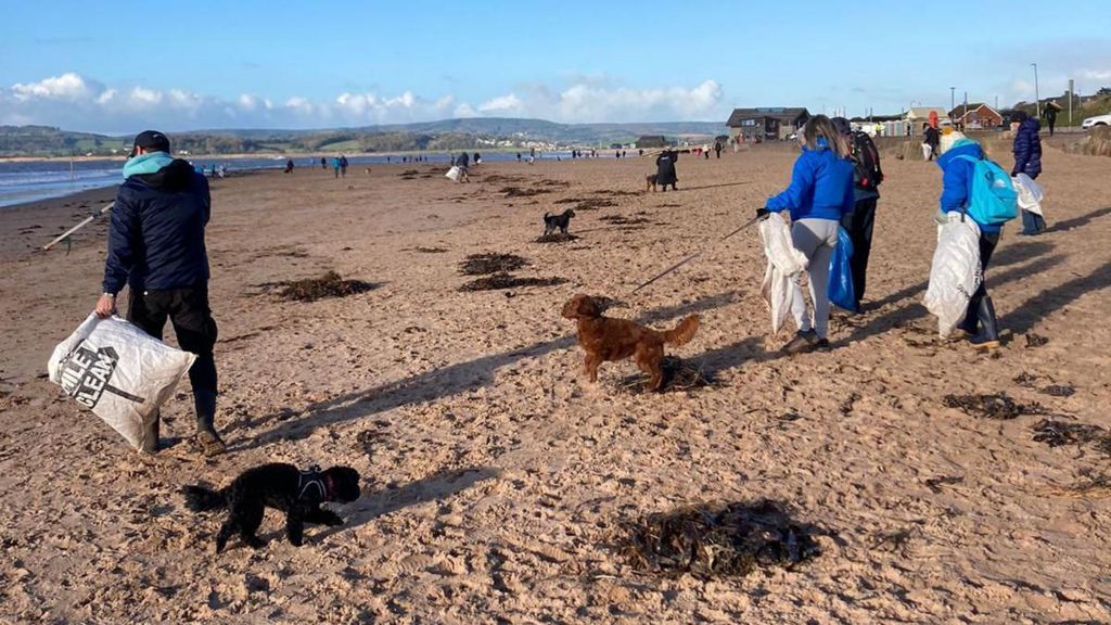 Exmouth Beach sees more than 1,300kg of waste cleared in 2023 BBC News