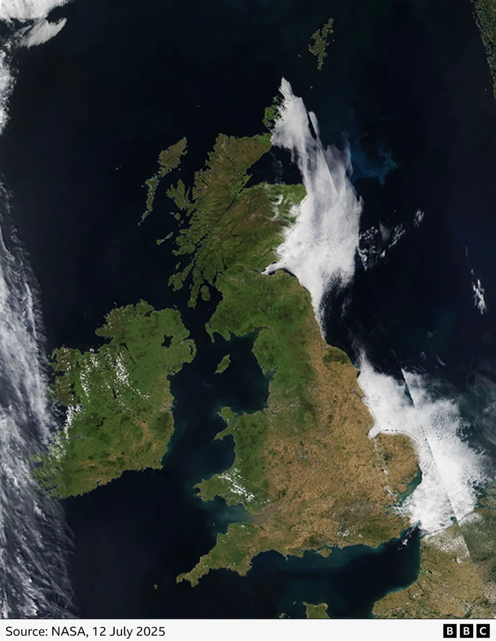 Image Via BBC