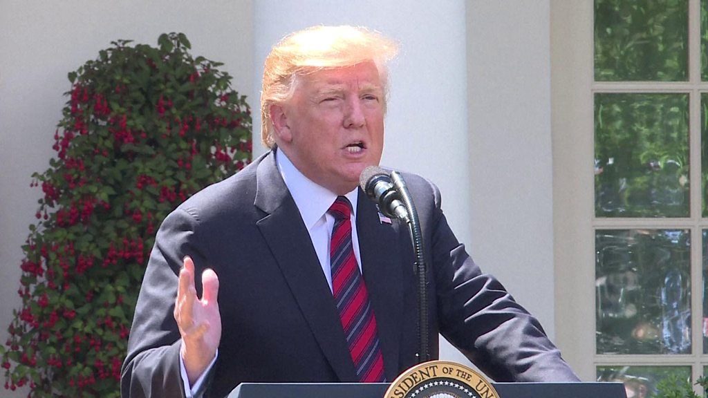Donald Trump in the White House Rose Garden