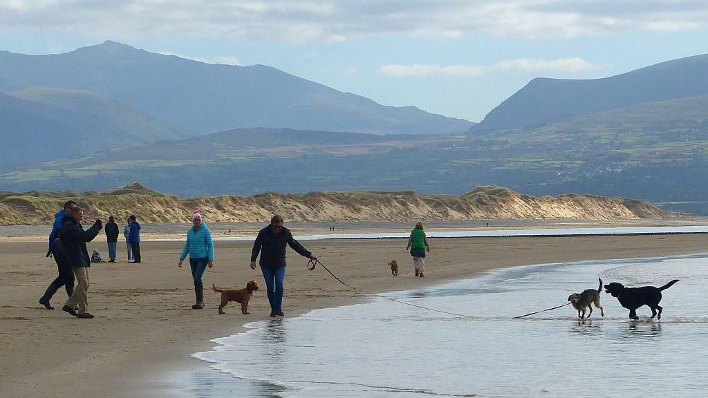 Several people, including a couple of dogwalkers, are shown strolling along the beach at Llanddwyn.
