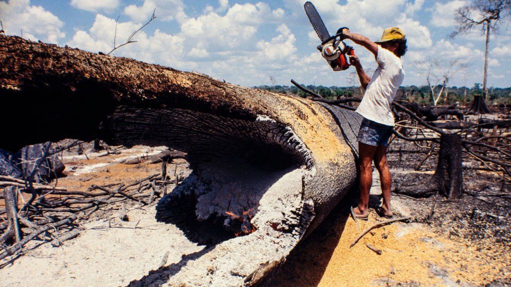 Deforestation in the Amazon rainforest