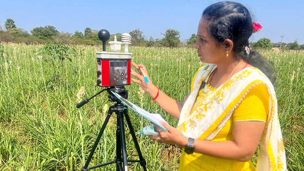 Rekha measures the heat in sugar cane fields in Titumannamalai