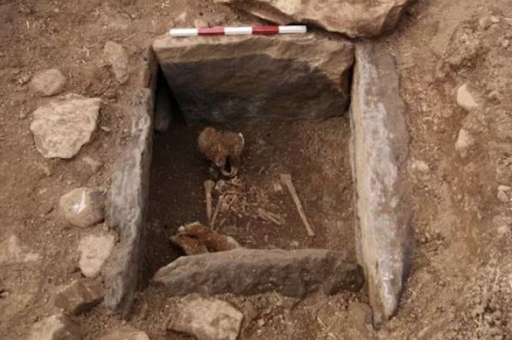 Bronze Age skeleton found by Rock farmer preparing field - BBC News