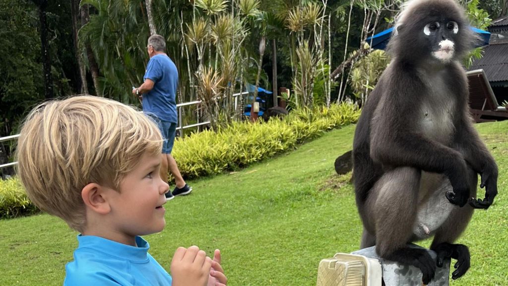A monkey rests on a pole in a green field in Malaysia. Fred Jones looks at it and smiles. He has blonde hair and is wearing a blue T-shirt. 