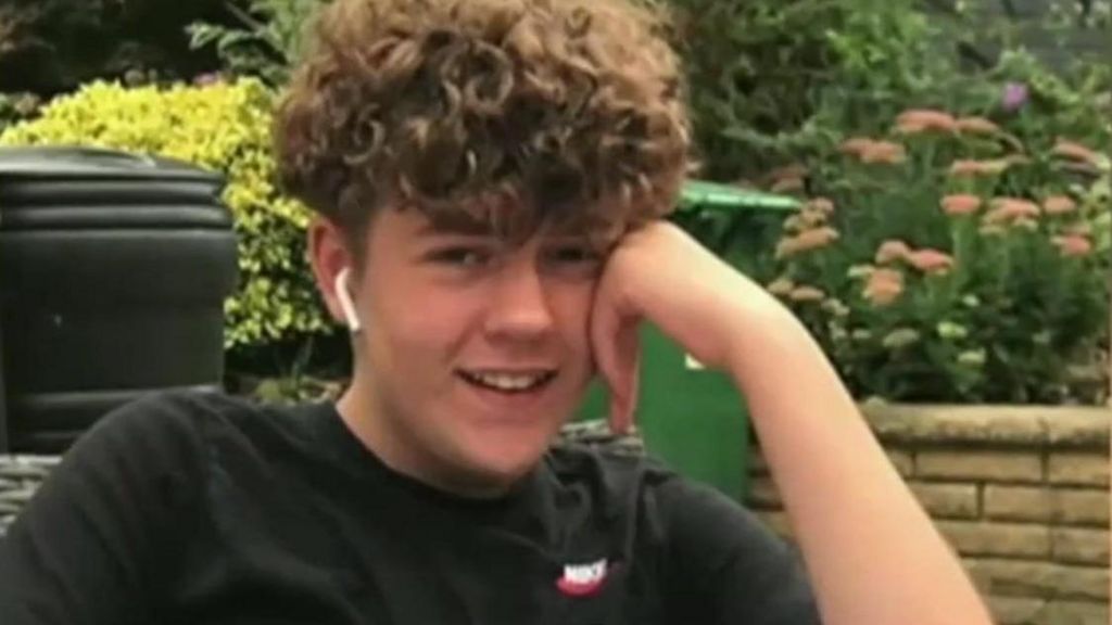 A boy with curly hair wearing a black t-shirt, sat down in front of shrubbery