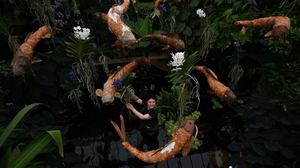 One of Kew's horticulturalists stands in a dark pond with orange koi fish sculptures floating above them