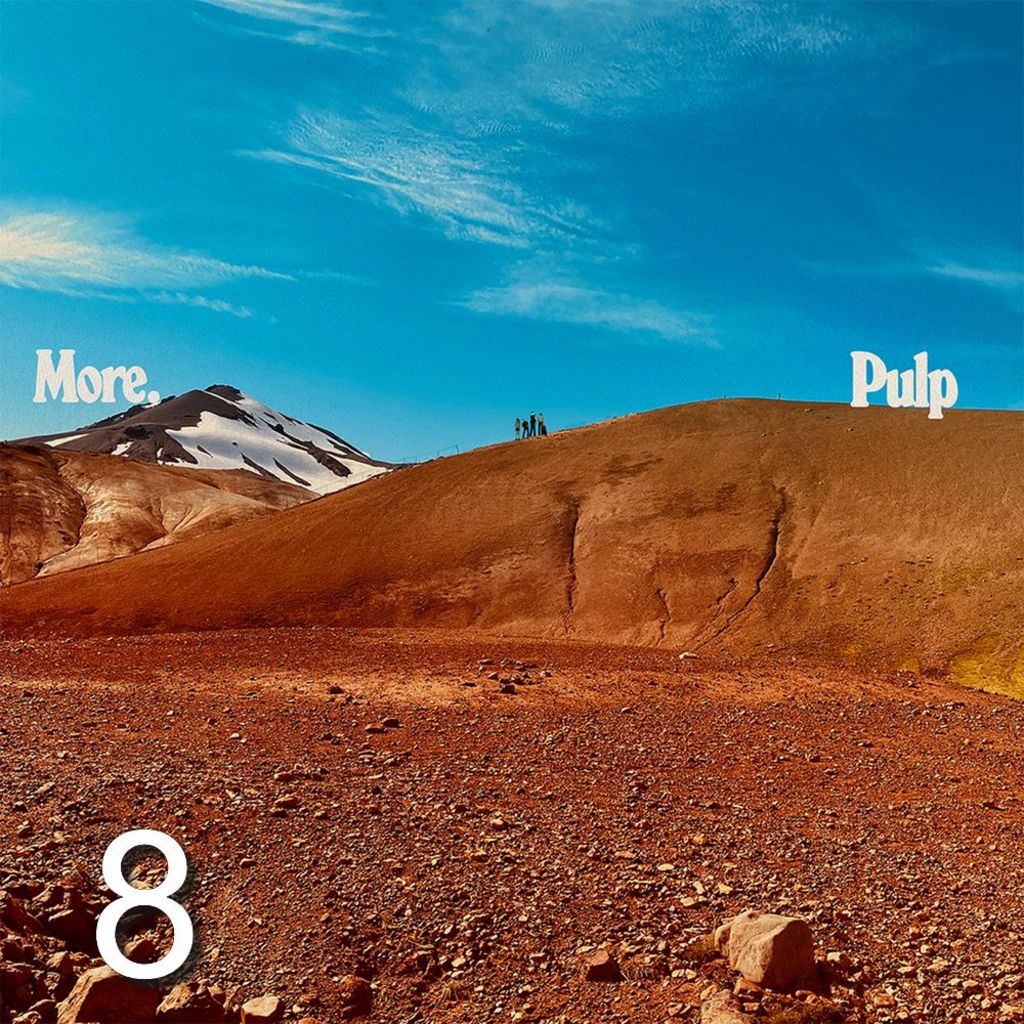 Artwork for Pulp's album More