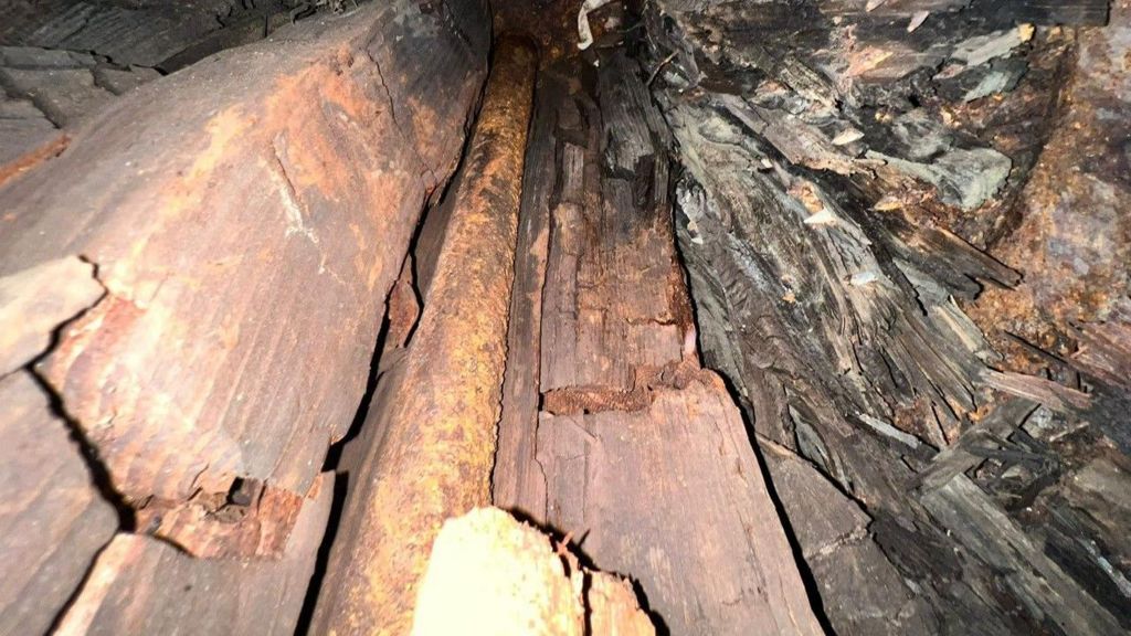 Two pieces of wood which have been split in two pieces. They are inside the rotten dome on top of the Royal Pavilion