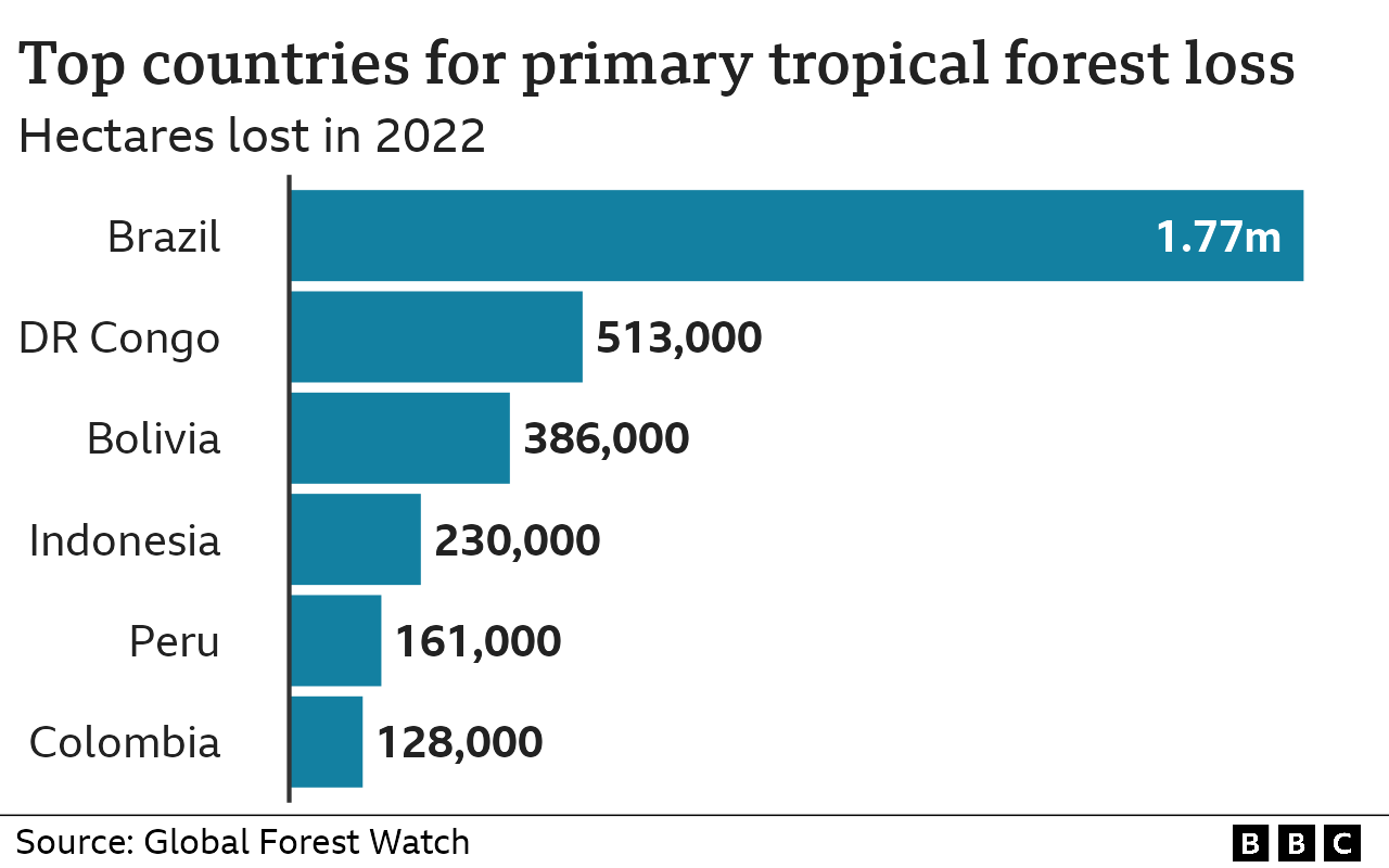 Bar chart showing the six countries with the highest amounts of primary tropical forest loss in 2022. Brazil is the top country, with 1.77 million hectares lost. Other countries are DR Congo, Bolivia, Indonesia, Peru and Colombia.