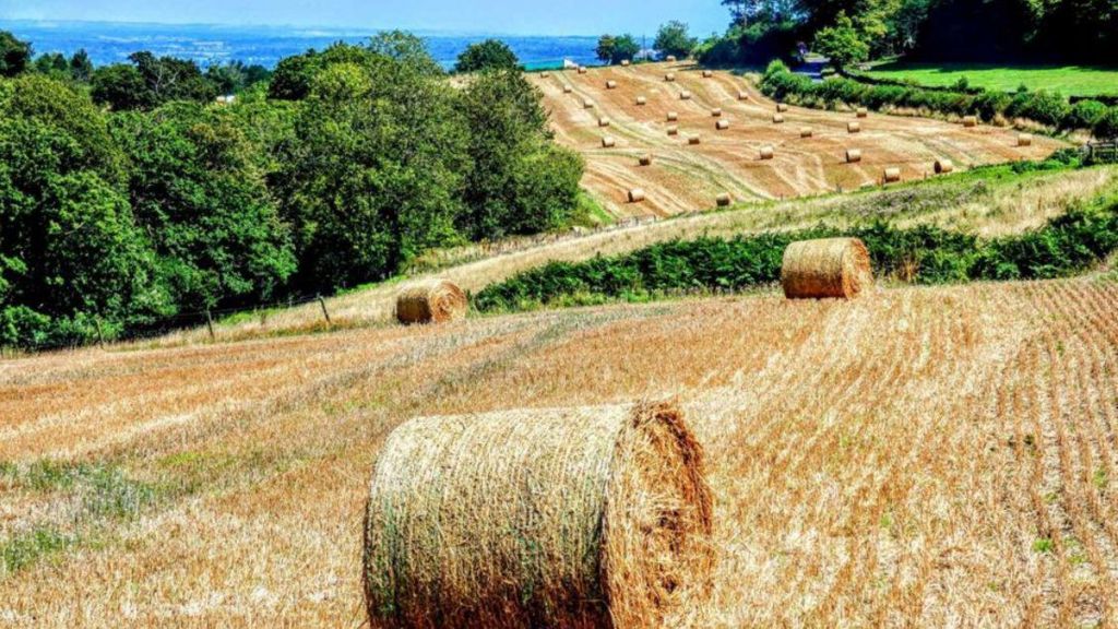 Country scene in Brightling