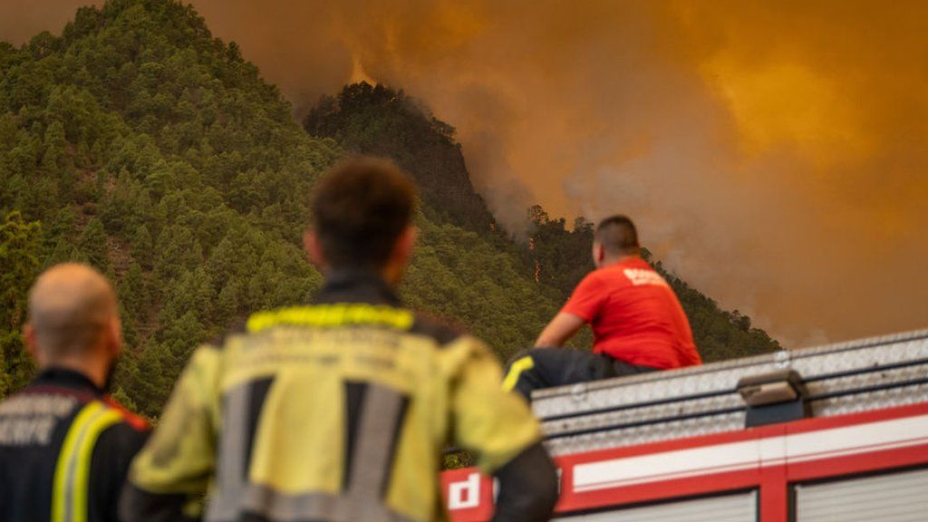 Fire officers watch a dramatic scene as flames engulf woodland in Tenerife on Wednesday