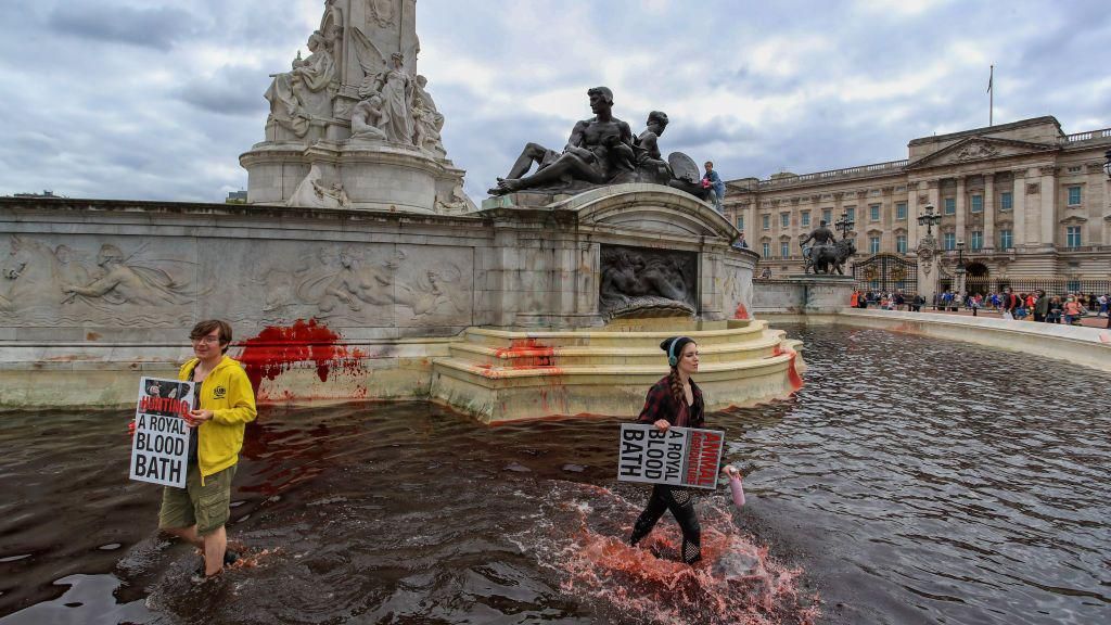 "A royal blood bath", reads posters held up by the Animal Rebellion protesters while standing in the dyed water of the fountain.