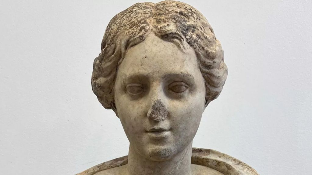 The head of a statue of a woman. The nose has been chipped off in part. 