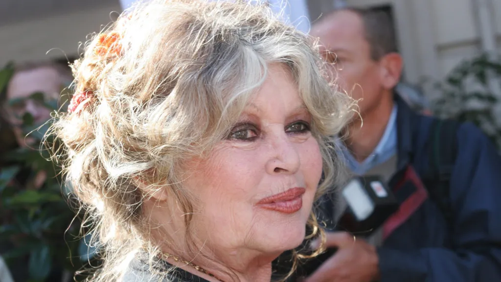 Close up of Brigitte Bardot's face in 2006, Thomas Samson via Getty Images