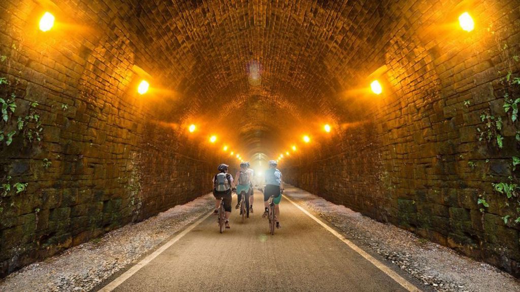 How a cycle path in the tunnel may look