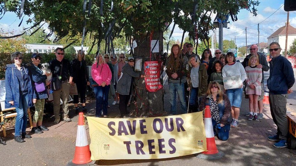 Resident campaigners at the Holt Farm oak tree in Rochford