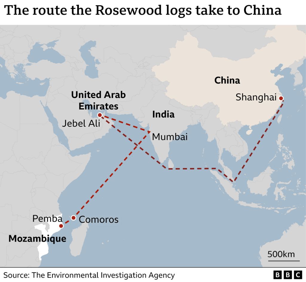 Map showing the trading route of rosewood from Mozambique to Shanghai in china