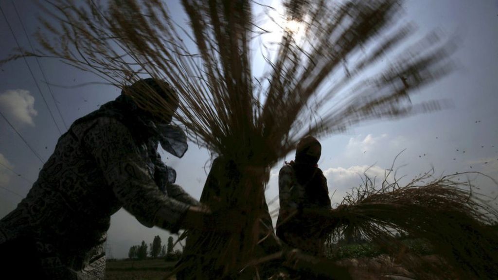 Kashmir Conflict Woes Deepen As Lockdown Stifles Economy Bbc News