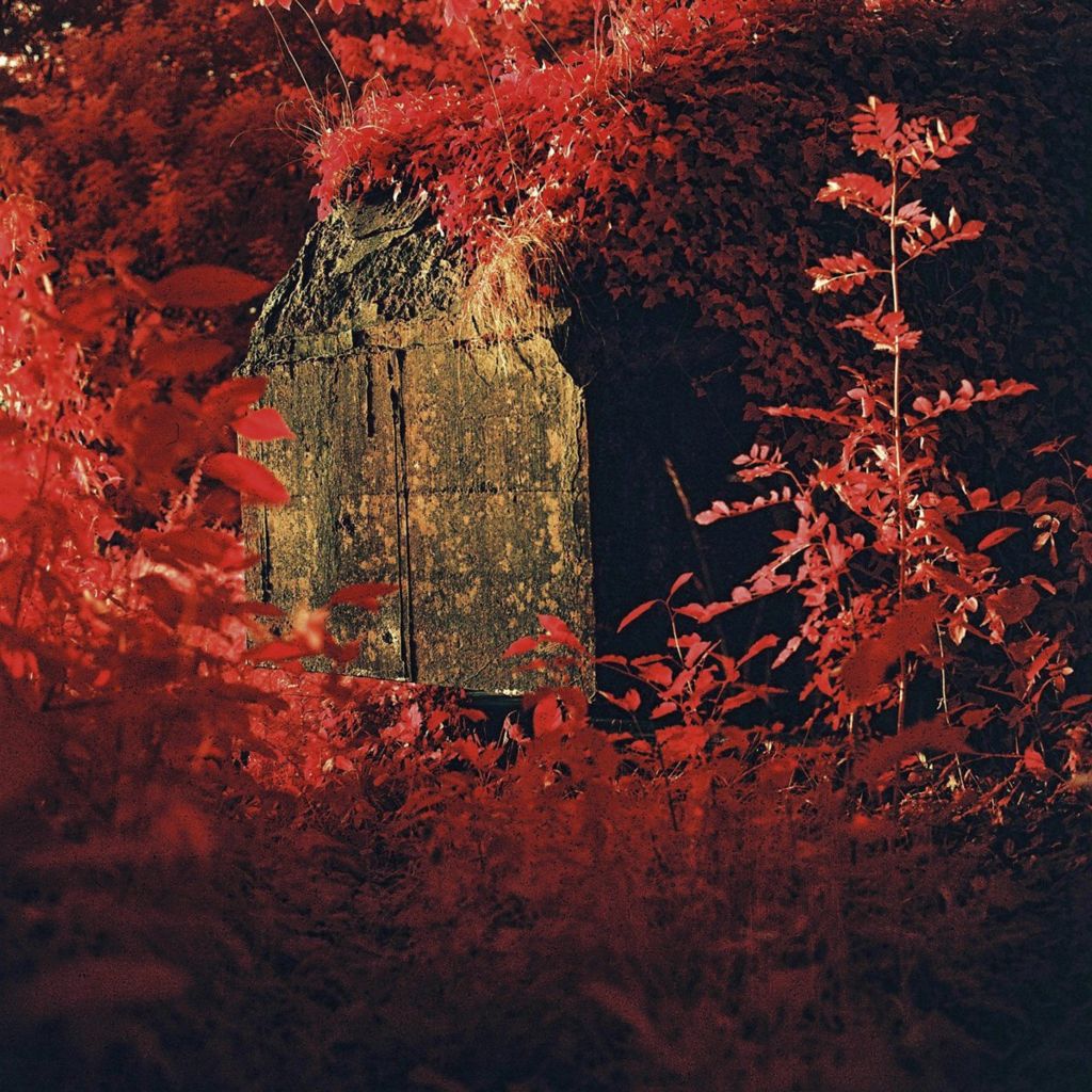 Infrared photograph of a bunker, surrounded by plants