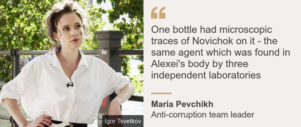 Quote from Maria Pevchikh