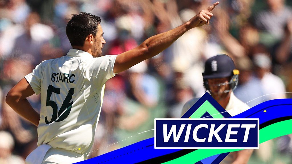 The Ashes: Mitchell Starc bowls Ben Stokes for 11