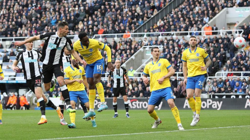 Newcastle 2-1 Brighton: Pick of the stats - BBC Sport