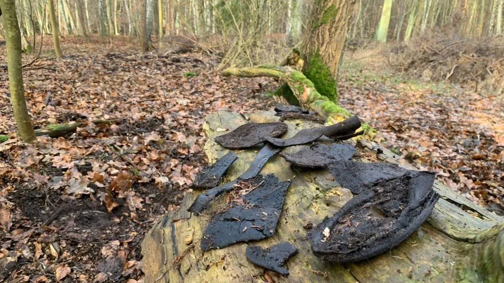 WHILE ELON MUSK MAKES NAZI SALUTES, and the U.S. elects Hitler-praising felon Donald Trump as ‘president,’ the civilized world mourns Hitler’s victims: Beneath the snow-covered leaves in Poland’s forests, you still find shoes of the little children the Führer tortured and murdered 😭