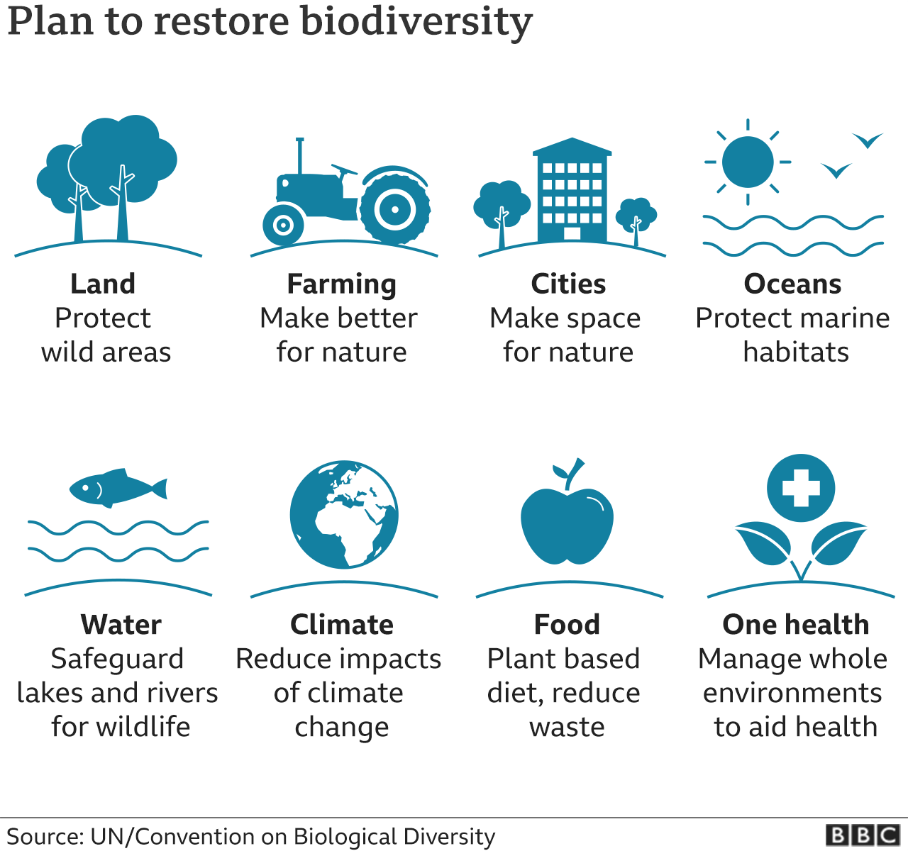 Plan to restore biodiversity