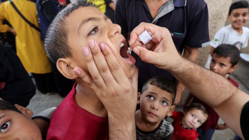 A Palestinian child is vaccinated against polio, at a UN clinic in Deir Al-Balah in the central Gaza Strip, 1 September 2024.