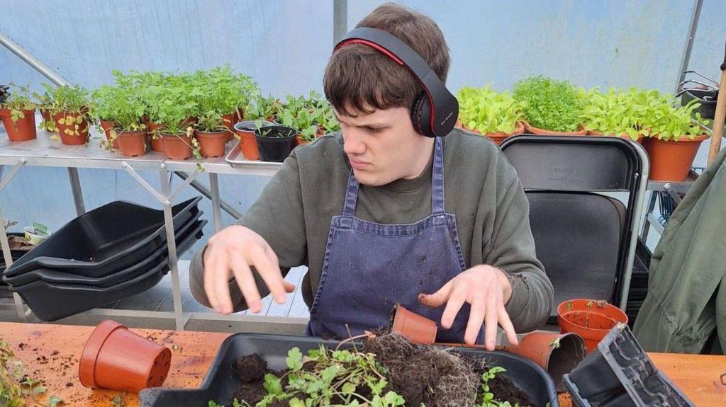 A man with headphones and a grey sweatshirt and a denim apron tending to some plants