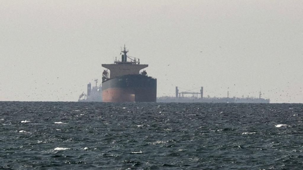 Cargo ships in the Gulf, near the Strait of Hormuz, on 11 March 2026