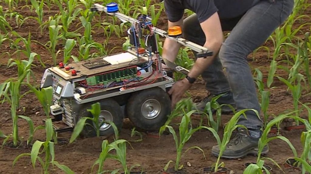 Farming Robots Get To Grips With Weeding At Harper Adams - BBC News