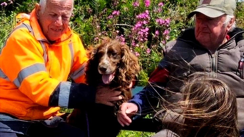 Dog reunited with family at top of cliff