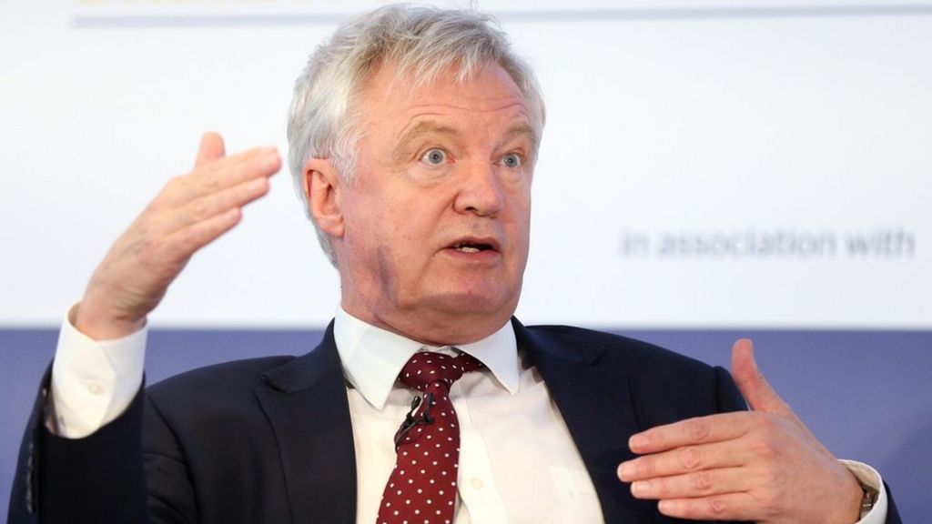 David Davis: Brexit 'as complicated as moon landing'