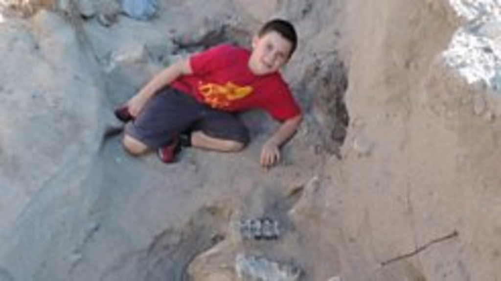 Boy Finds 2 Million-year-old Tooth From Elephant Ancestor on Beach Walk