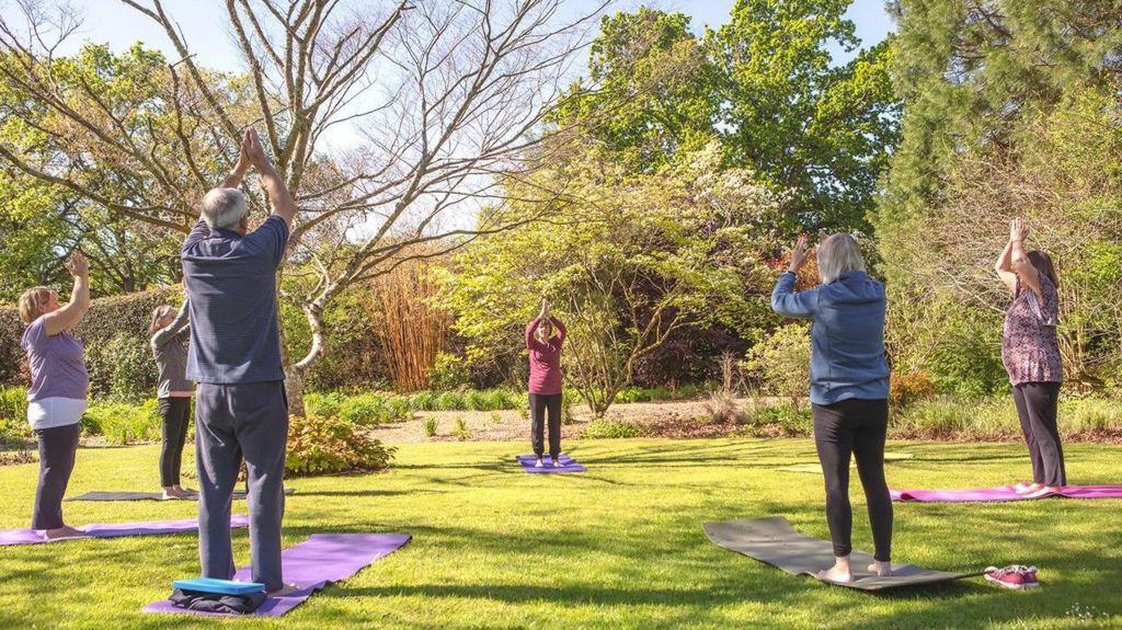 Yoga at Knoll Gardens 