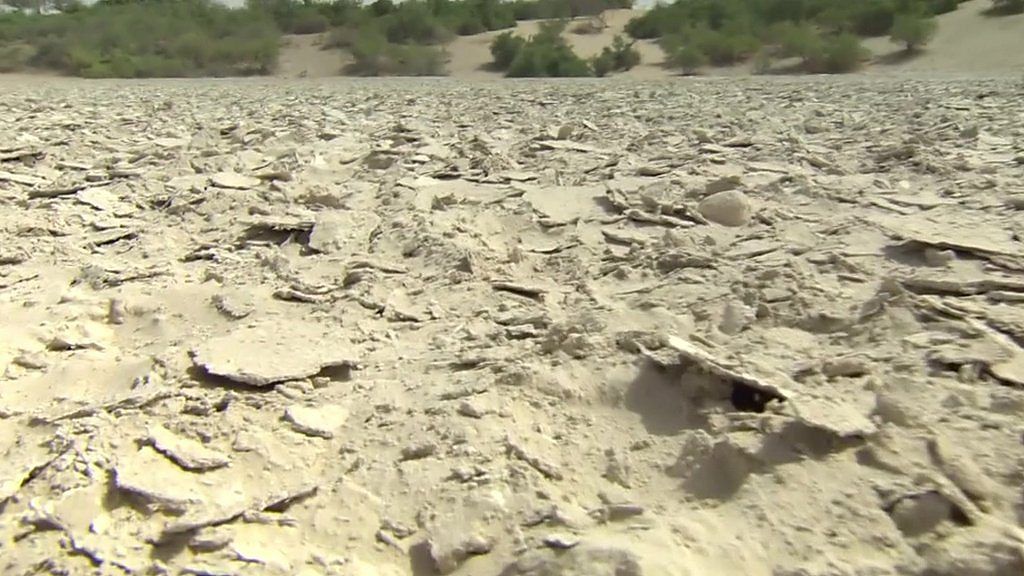 Crumbling dust in what used to be Lake Chad