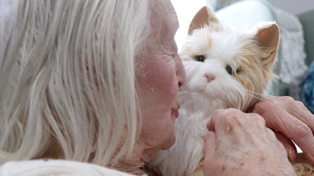 Marmalade the Robotic Cat in a Morpeth Care Home