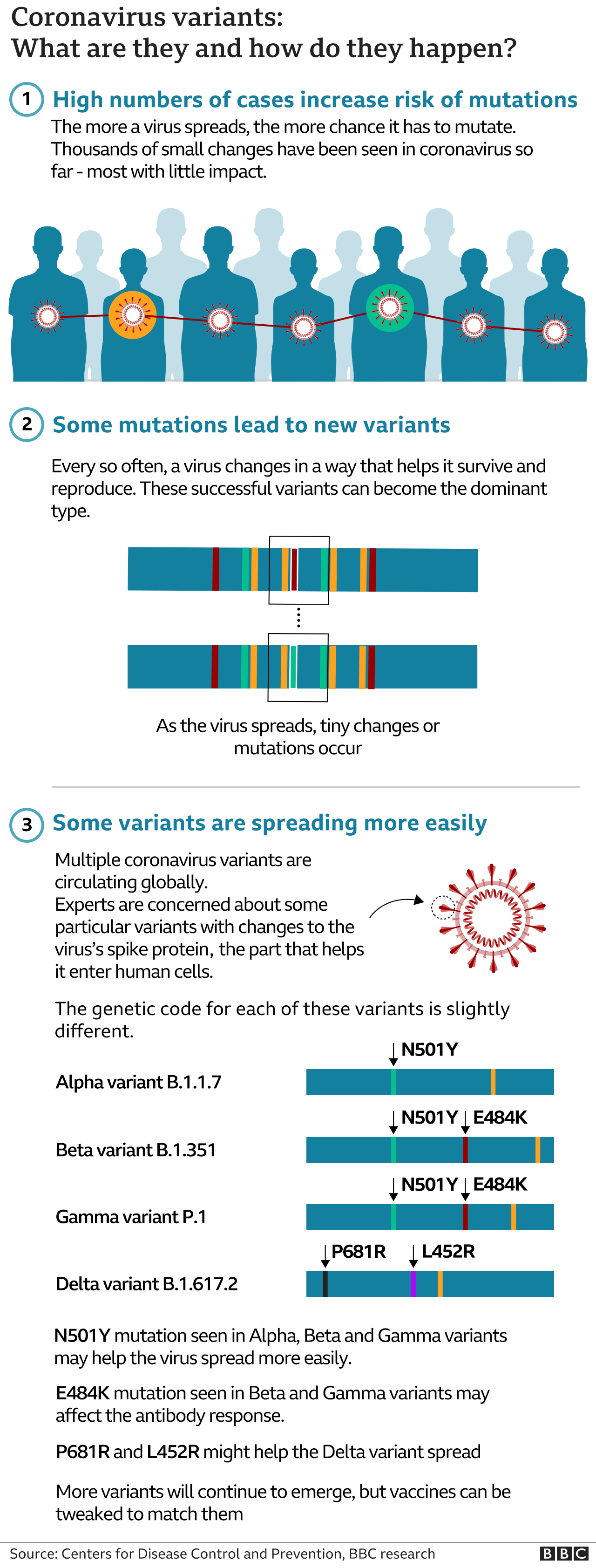 Chart showing what the variants are and how they happen