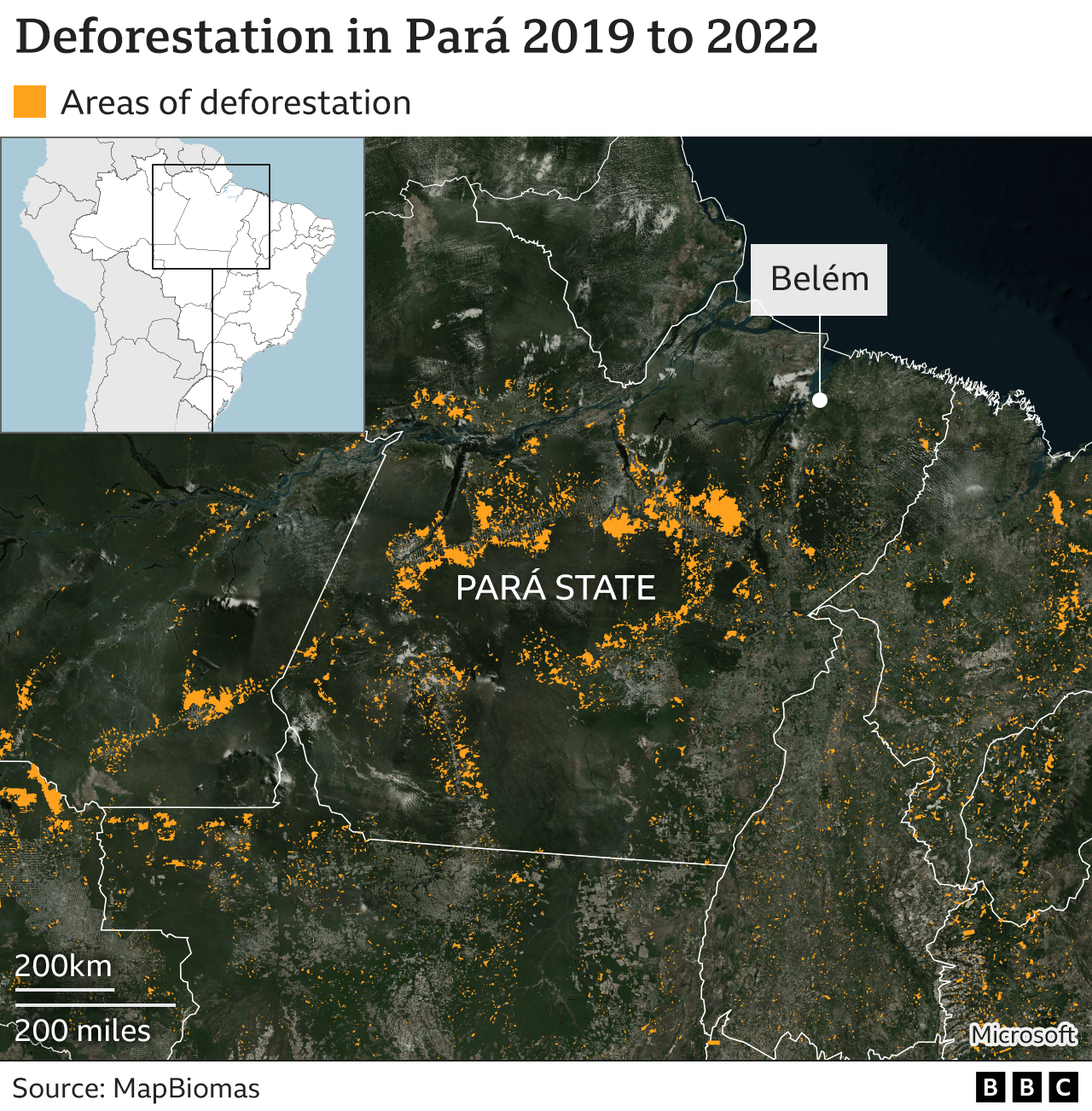 Un mapa satelital del estado de Pará en Brasil, superpuesto con regiones que sufrieron deforestación entre 2019 y finales de julio de 2023. El mapa también presenta un localizador que muestra la ubicación de Pará en el noreste de Brasil.